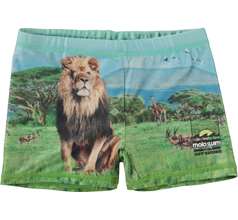 Norton Placed Swimwear